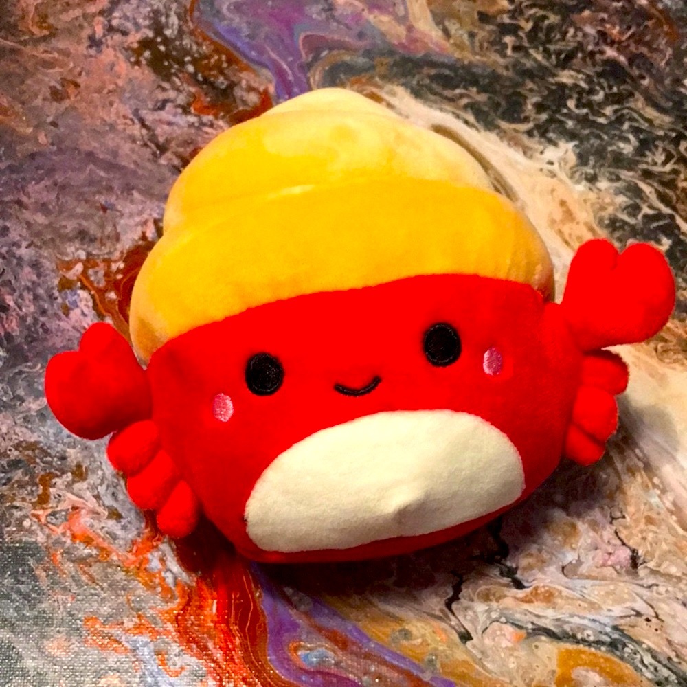 5” Squishmallow ~ Indie the Hermit Crab